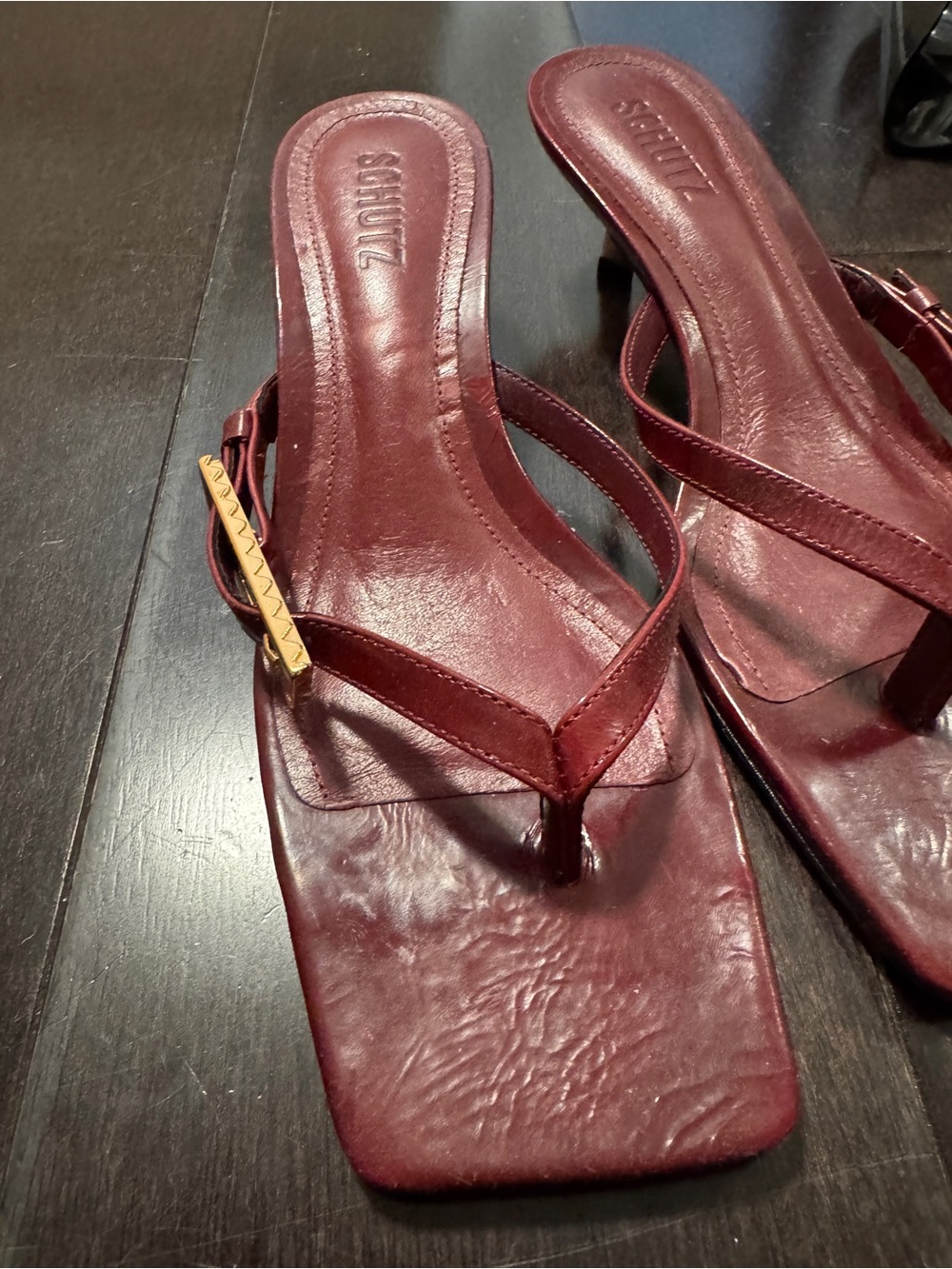 SCHUTZ Burgundy Leather Thong Sandals